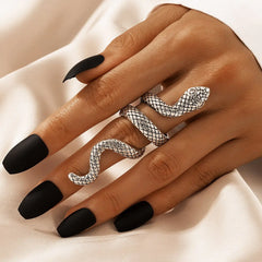 Texture Snake Ring Set